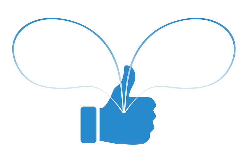social media review